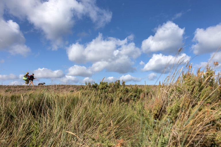 Grassland and marsh at Brancaster