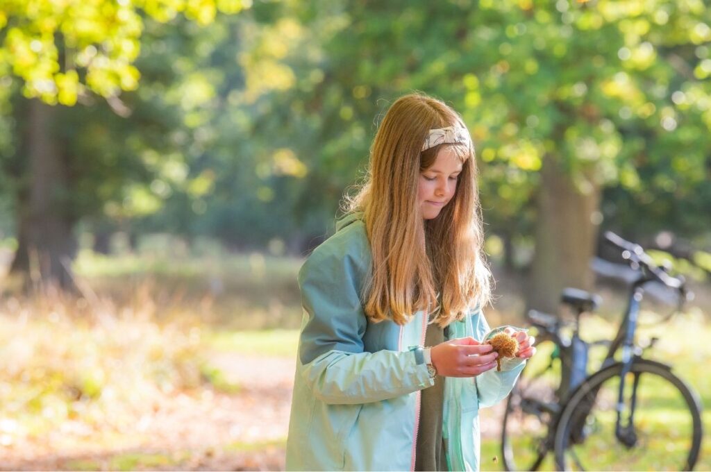 A girl in a raincoat looks at a conker in Holkham Park