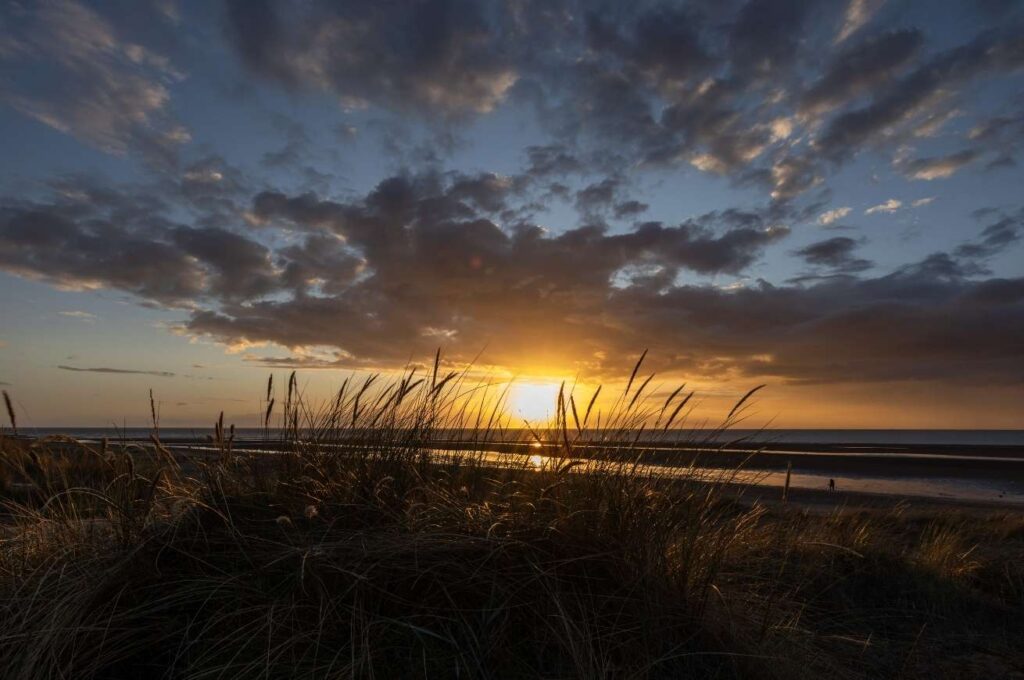 Sunset through the dune grasses