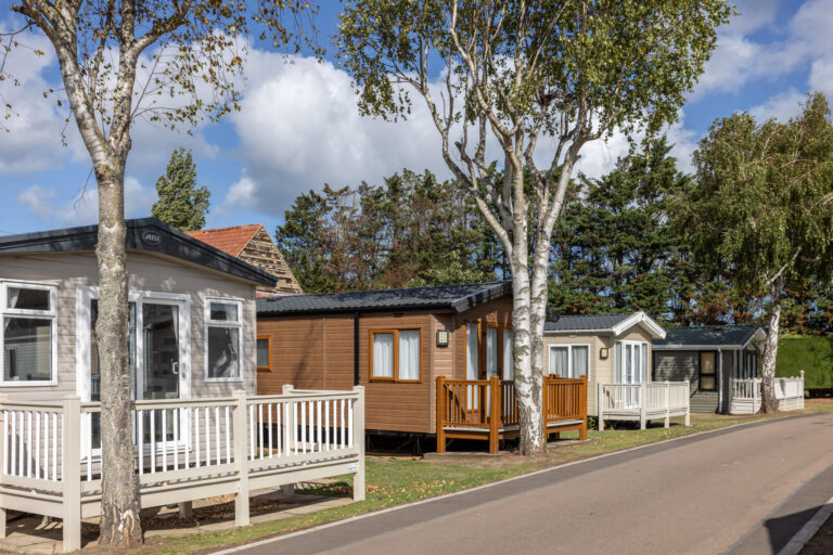 Caravan holiday homes in a row with trees and grass between them
